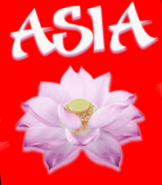 https://asia-blumen.ch/