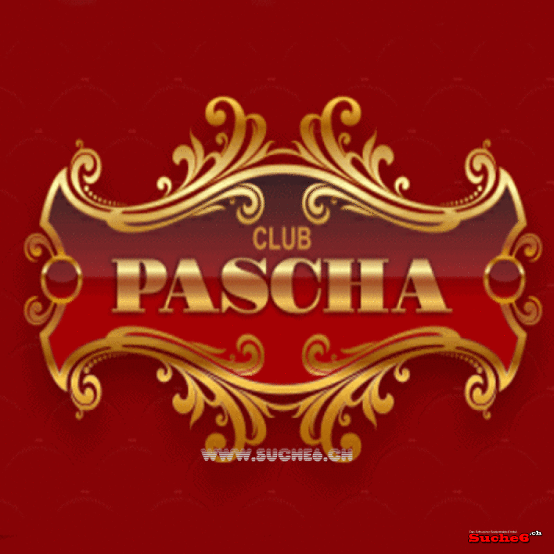  Club Pascha Zrich Weststrasse 150 
