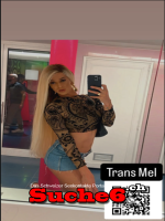 Sex in 8887 Mels  TS Mel trans